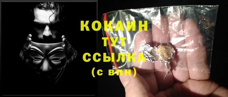 купить наркотик  Камышлов  Cocaine Эквадор 